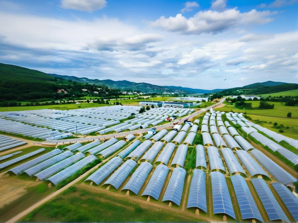 農藥殘留檢測儀走進蔬菜基地，萊恩德檢測儀助力壽光市蔬菜安全